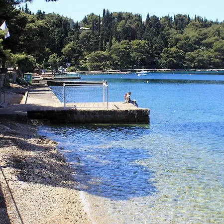 公寓 With A Parking Space Cavtat, Dubrovnik - 15111 察夫塔特